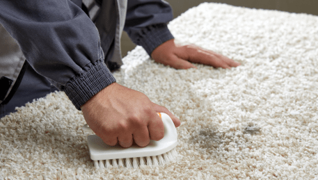 Professional Rug Cleaning Kooyong