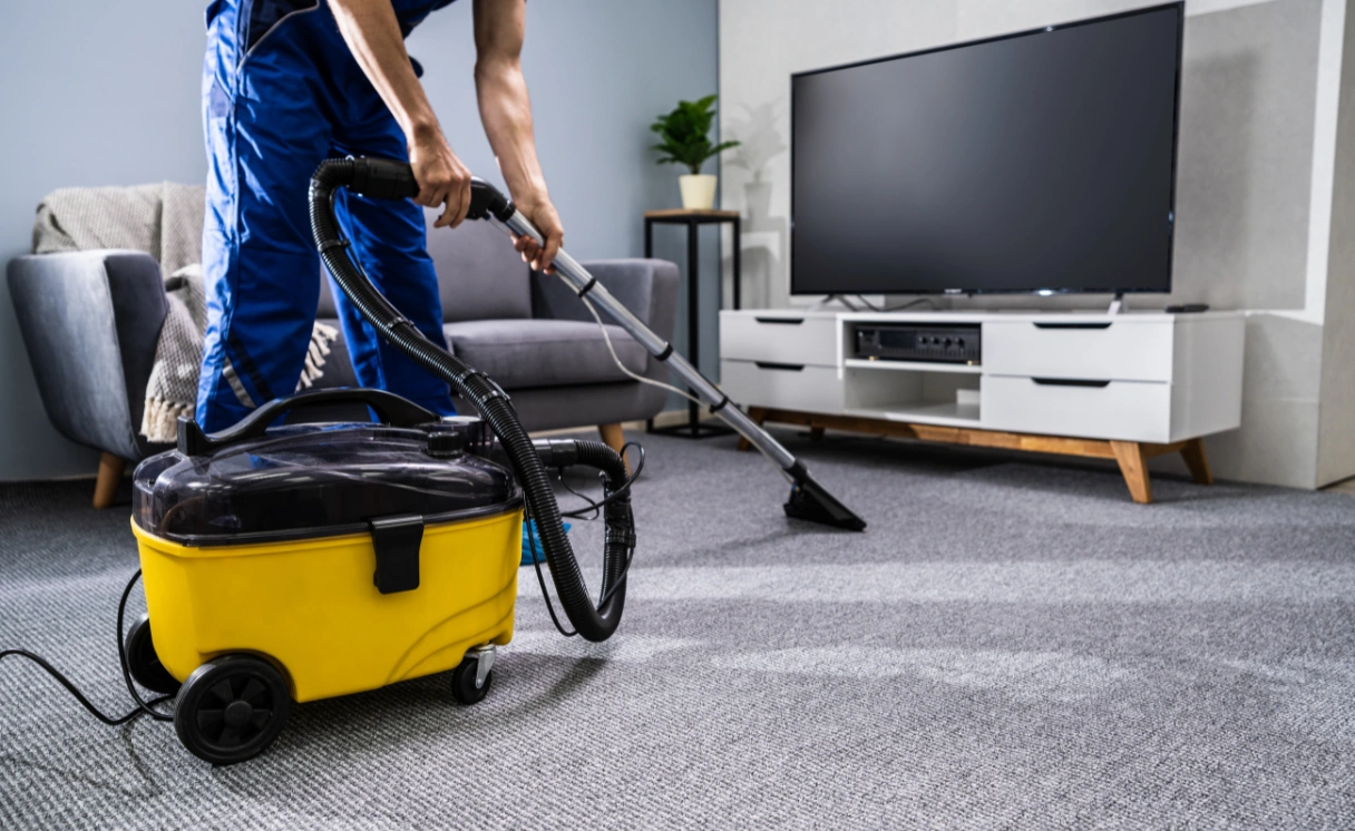 Extract Rug Cleaning Kooyong Contact Office
